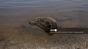 Környezetvédelmi vészhelyzet Moldovában egy ukrajnai orosz támadás után