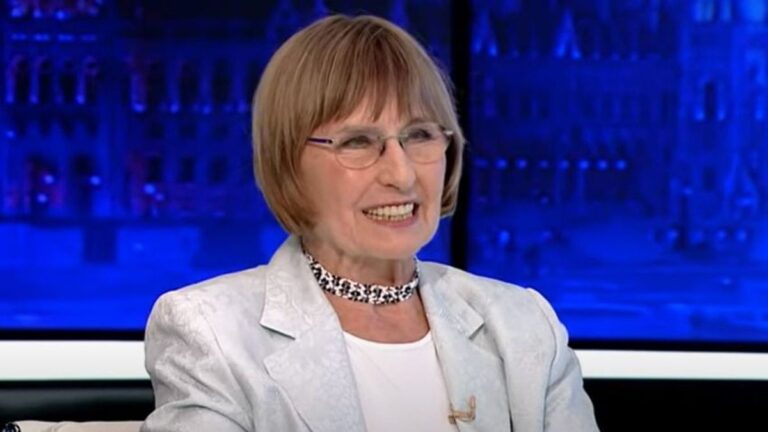 Nem fogok mindent elmondani, mert akkor megbukunk – Eszement dolog adómentességgel pénzt adni a kétgyermekes anyáknak a fekete öves tiszás szakértő szerint