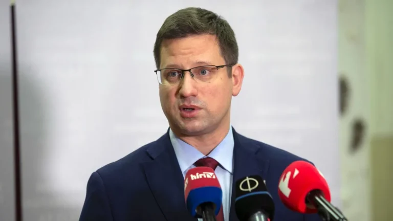 Gulyás Gergely: Magyar Péternek be kell fejeznie a színészkedést