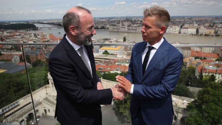 Tisza Party Bent on Implementing Harsest Austerity Package of Past Decades