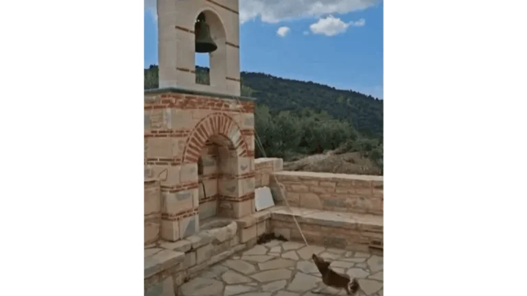 A pap kutyája harangozik Krétán – videón a legszorgalmasabb négylábú sekrestyés