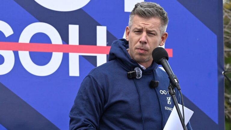 Szentkirályi Alexandra: Magyar Péterék a fizetős egészségügy korszakát hoznák vissza + videó