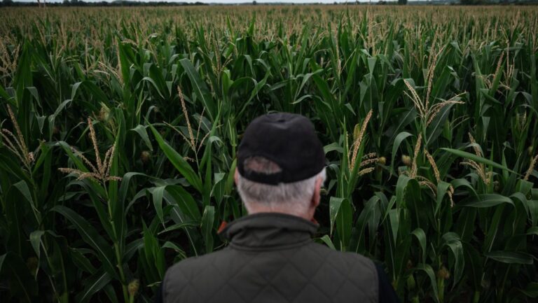 „Ami most zajlik az országban az katasztrófa. Sírni tudnék” – szakértők sürgetik a vízhiány elleni összefogást