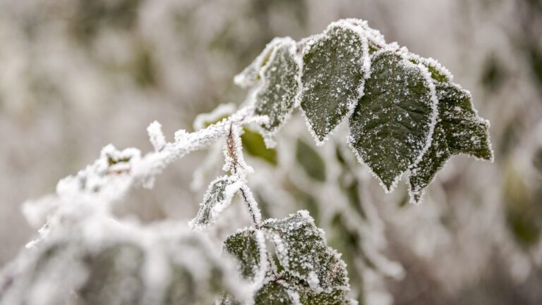 Komoly mínuszokkal indult a hétvége