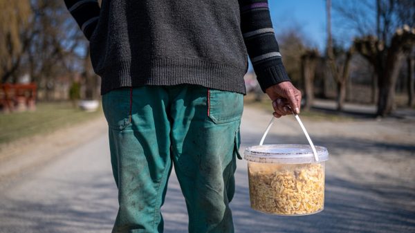 Leleplezés: 500 ezer embert vehetnek rá pénzzel, droggal, alkohollal, vagy fenyegetéssel, hogy szavazzon a Fideszre