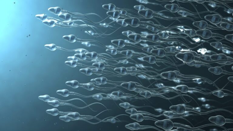 A gyakoribb ejakuláció növelheti a férfiak termékenységét