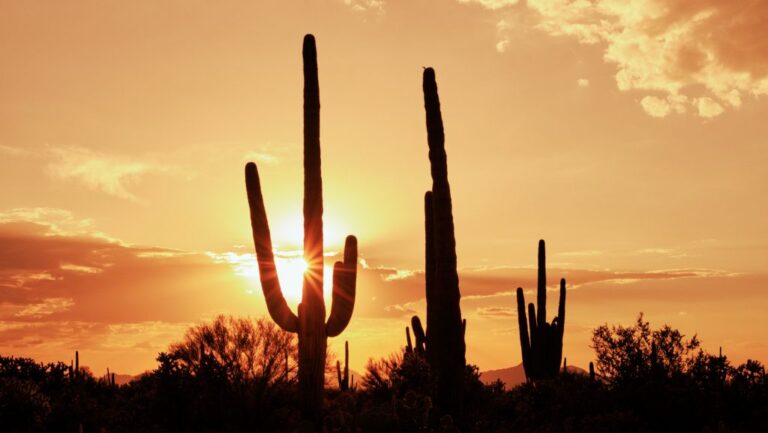 Brutális hőhullám csap le Amerikára: 35–40 fok is lehet a hétvégén