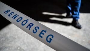 Halálos baleset: őz ugrott a motoros elé, a sofőr szörnyethalt