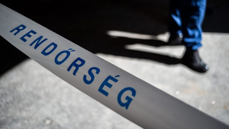 Halálos baleset: őz ugrott a motoros elé, a sofőr szörnyethalt