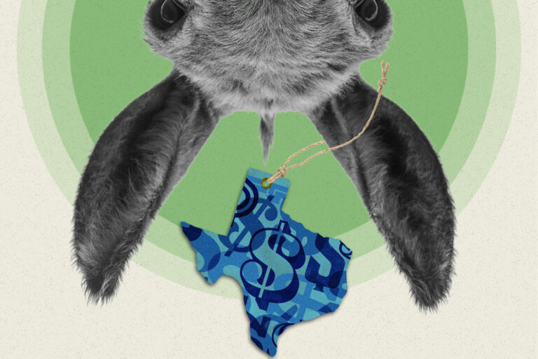 Dems aren’t sure whether to actually spend big to flip Texas