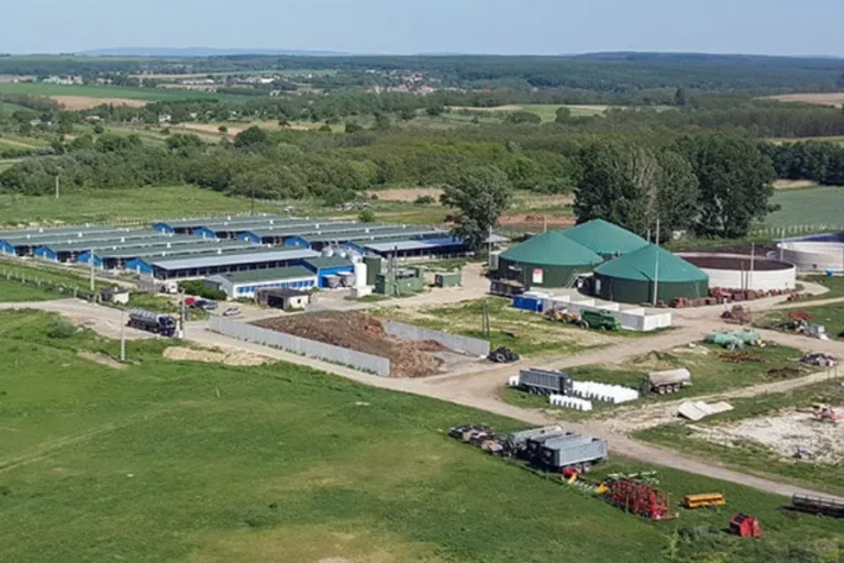 A kisbériek megnyerték háborújukat a szarszag ellen