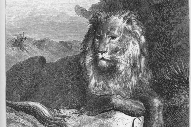 A kegyes oroszlán nem falja fel a nyavalyás férgecske egeret a mesében, amit Orbán idézhetett Putyinnak