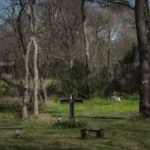 Negyvenkét év után vádat emeltek egy férfi ellen, de sok titkot rejthetnek még a texasi gyilkos mezők