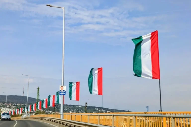 Fellobogóztatta a várost Pécs ellenzéki polgármestere, tekintettel a választás eredményeire