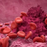 Szupergyors véralvadást értek el kutatók kémiailag módosított vérrel, ami életeket menthet