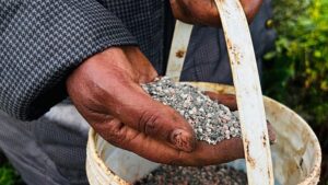 A közel-keleti feszültségek második hónapja világszerte növelik az élelmiszerárakat