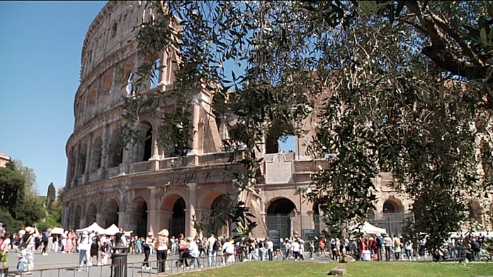 Elkezdődött az olívabogyó szüretelése a római utcákon