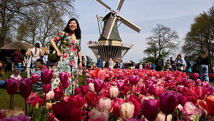 Hollandiai Keukenhof tavaszi virágpompája világszerte vonzza a turistákat