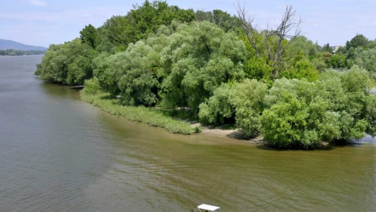 Vitézy Dávid: Két nappal a választás előtt a kormány 3000 lakást engedélyezett a Népszigetre