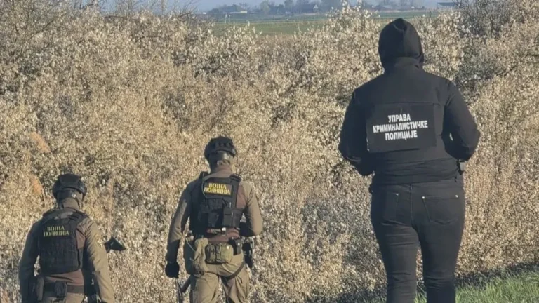 Alekszandar Vucsics: Egy katonai rendfokozattal rendelkező migráns készült támadásra a Török Áramlat ellen