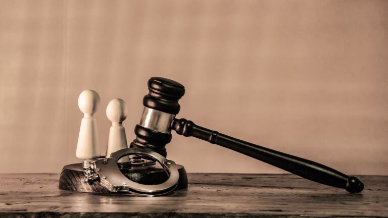 Szirti sassal vadászott macskákra, most emiatt áll bíróság elé a férfi