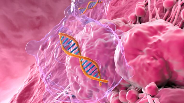 Itt az áttörés a rákkutatásban, műtét és kemó nélkül is eltűnhet a daganat – valós gyógyulások ezrei előtt állunk