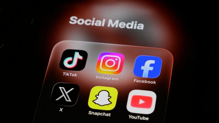 Állatkert, Balaton, TikTok