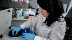 A vérzéses láz hordozója lehet az újonnan megjelent kullancsfaj Magyarországon