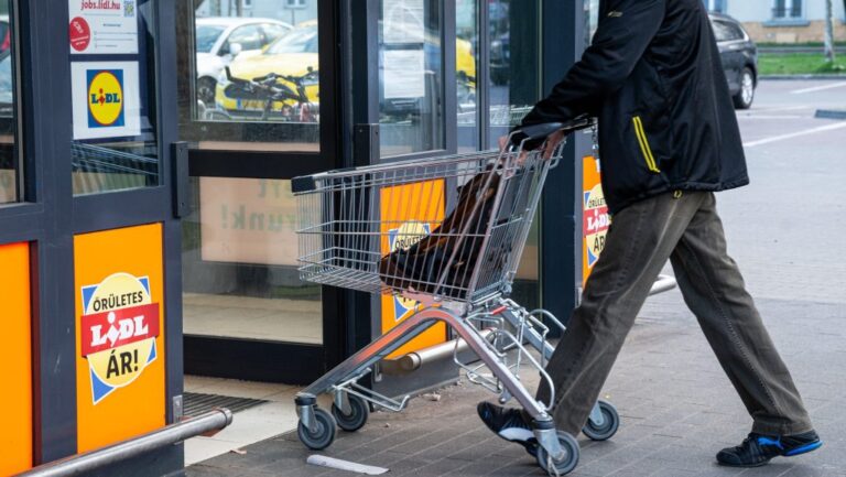 Megvan, mennyit kereshetnek a lidlesek az idei bérfejlesztés után