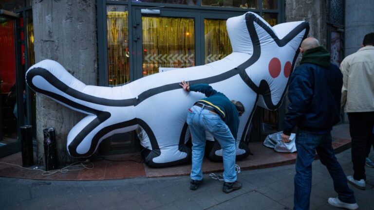 Kutyapárti alelnök: Sokkhatás alatt vannak a jelöltjeink a 686 milliós visszafizetés miatt