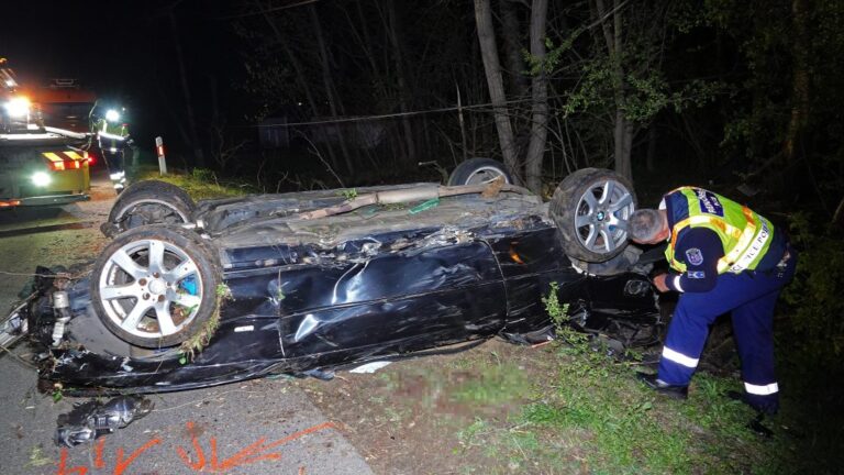 Fának csapódott egy autó, hárman meghaltak a Kiskunfélegyháza közelében történt balesetben