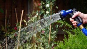 Kertművész: gyakori hiba miatt szárad ki túl gyorsan a legtöbb kert