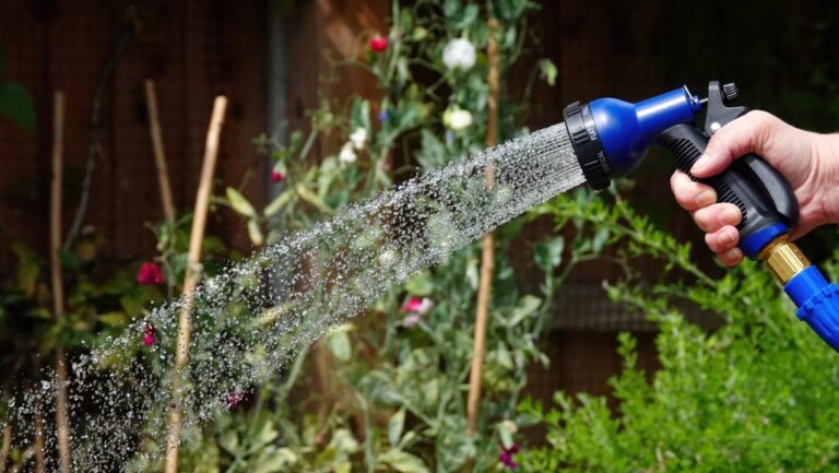 Kertművész: gyakori hiba miatt szárad ki túl gyorsan a legtöbb kert