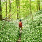 Élvezze ki a szombati napsütéses időt, mert jön a hidegfront