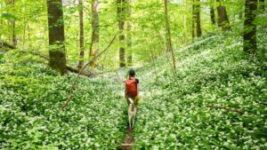 Élvezze ki a szombati napsütéses időt, mert jön a hidegfront