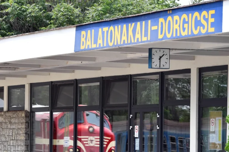 Egy képviselőtársának akart beszólni a dörgicsei polgármester, amikor fogyatékkal élőknek az önkormányzat üléseit ajánlotta programként egy dokumentumban
