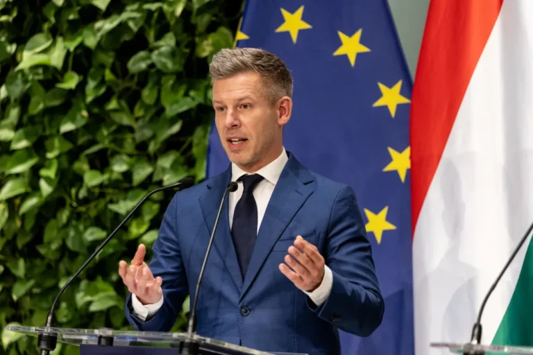 Magyar Péter 2 százalékos gazdasági növekedésre számít idén