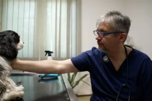 Hadházy Ákos: Engem ne sajnáljon senki sem, a dolgomat elvégeztem, a családom szép, a munkám szép