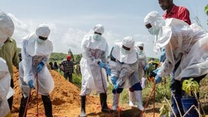 Az ENSZ szerint az ebola-járvány és az élelmezésbiztonsági helyzet szorosan összefügg Kongóban