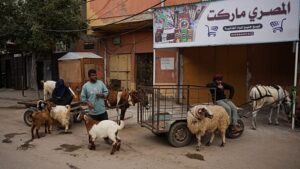 Gázai menekültek komor Eid al-Adhára készülnek háború és drágulás közepette