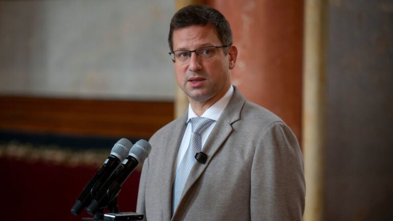 Gulyás Gergely: Politikai bosszút folytat a Tisza Krausz Ferenc alapítványa ellen