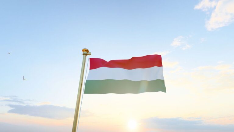A Fidesz elítéli a szabadkai zászlóégetést, a nemzeti jelképek tiszteletére szólít fel
