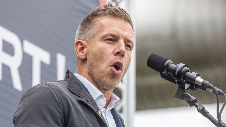 Testvére vette át Magyar Péter cégének a vezetését