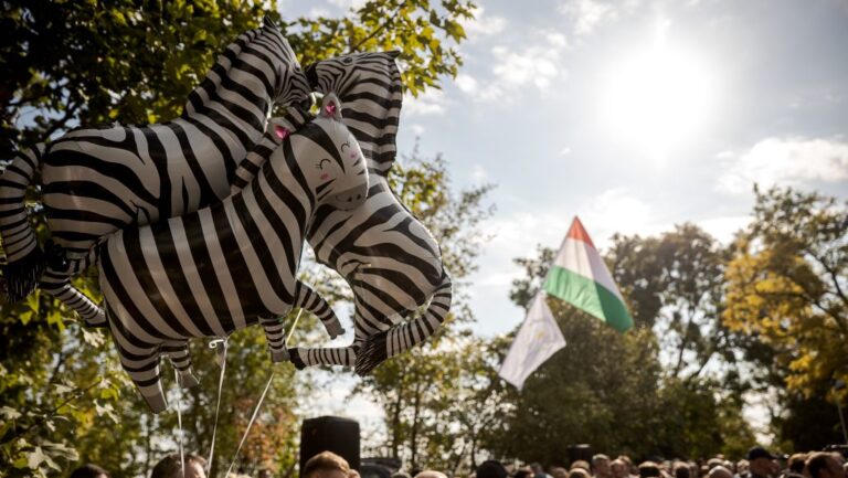 Elpusztult három zebra idén Hatvanpusztán