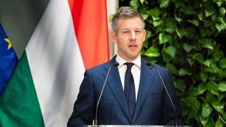 Magyar Péter: A kormány megnyitja a Karmelitát a gyermekvédelemben nevelkedő gyerekek előtt