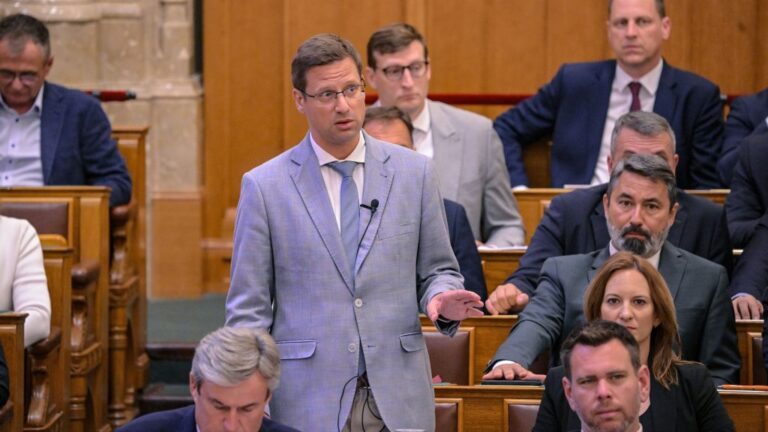 „Jeleztem Gulyás Gergelynek, hogy SMS-ben átküldöm neki a saját, 2010-es dicsérő mondatait” – Magyar Péter leírta, mit mondott a Parlamentben a Fidesz frakcióvezetőjének