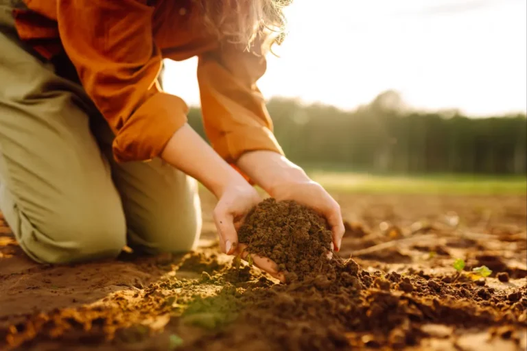 SOILATHON: nem lesz termés jó talaj nélkül, verseny indul a megoldásokért (x)