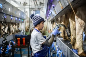 Vendégmunkásstop: szigorúbb feltételek mellett, de továbbra is érkezhetnek vendégmunkások Magyarországra az új rendelet szerint