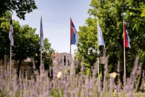 Úgy tűnik, nem szerb–magyar konfliktus áll a szabadkai zászlóégetés hátterében