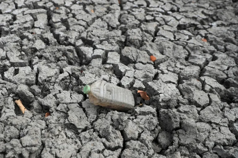Visszatért a melegedést fokozó El Niño, ami minden idők legerősebbje lehet